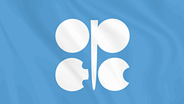 OPEC Backs UAE COP28 Presidency